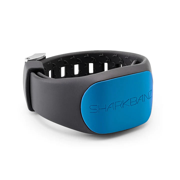 Sharkbanz II